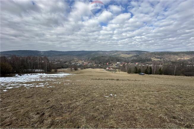 Duża działka 30 arów z 2 HA prywatnego lasu