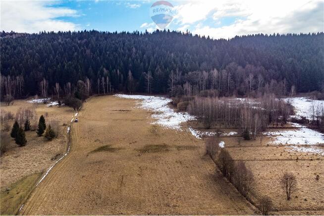 Duża 20 arów z dużym 2 HA prywatnym lasem