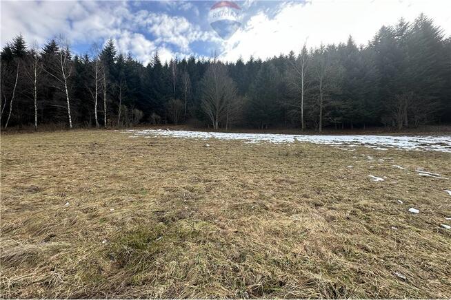 Duża 20 arów z dużym 2 HA prywatnym lasem