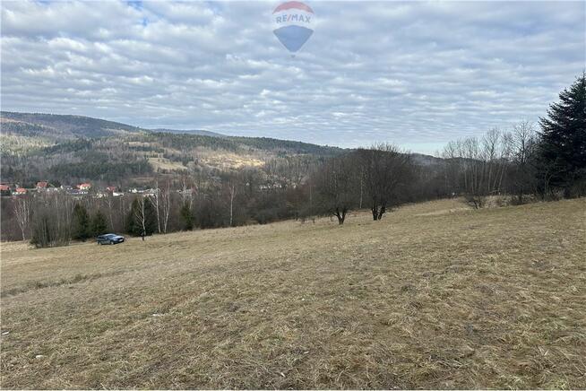 Duża 20 arów z dużym 2 HA prywatnym lasem