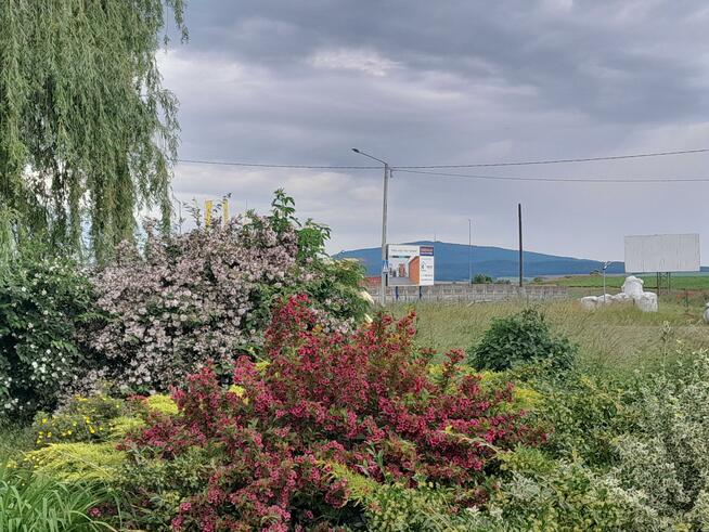 Dom Łagiewniki, Jedności Narodowej