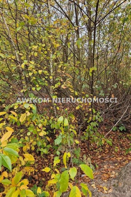 Działka budowlana Jaktorów Chylice