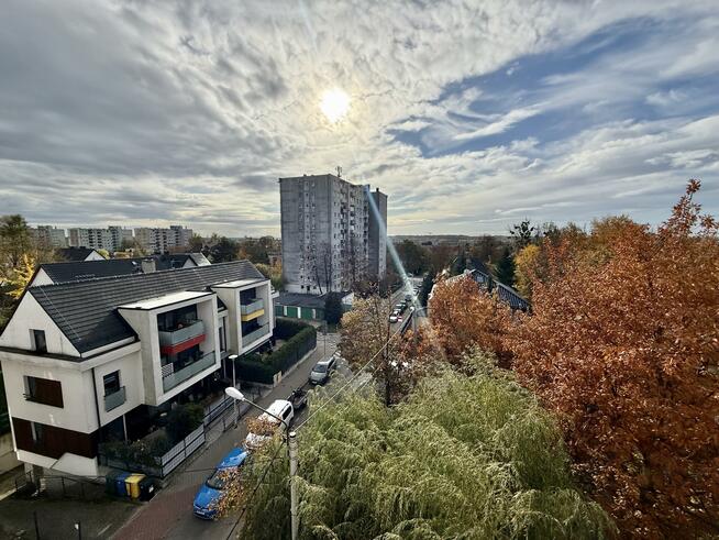 Mieszkanie Opole, Zwycięstwa