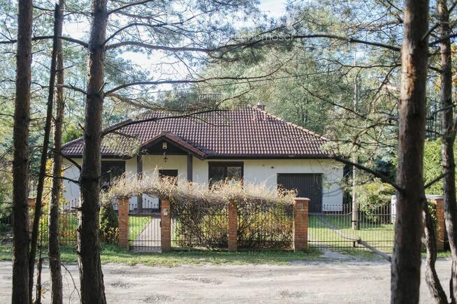 Dzień Pokazowy sobota 29.11.