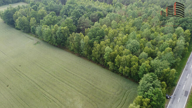Działka leśna Lipinki gm. Sosnówka,
