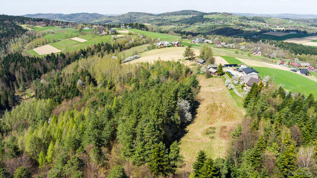 Na sprzedaż gospodarstwo rolne w Jastrzębi