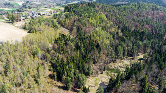Na sprzedaż gospodarstwo rolne w Jastrzębi