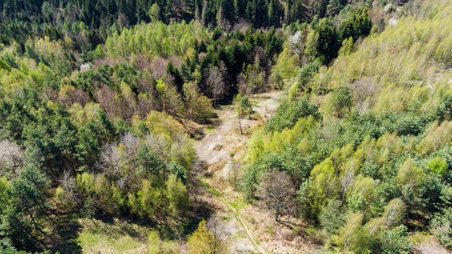 Na sprzedaż gospodarstwo rolne w Jastrzębi