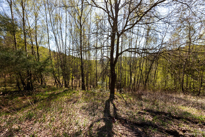 Na sprzedaż gospodarstwo rolne w Jastrzębi