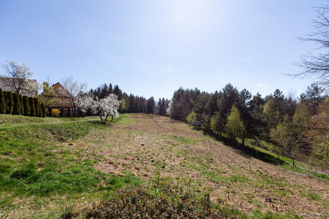 Na sprzedaż gospodarstwo rolne w Jastrzębi