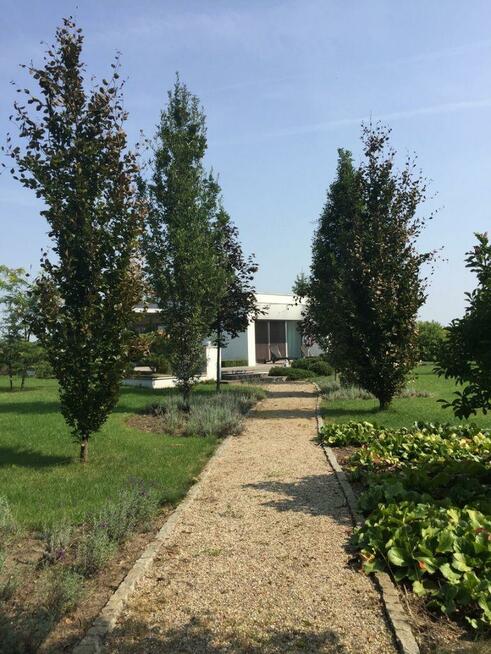 Dom Łęka gm. Piątek