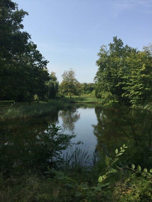 Dom Łęka gm. Piątek