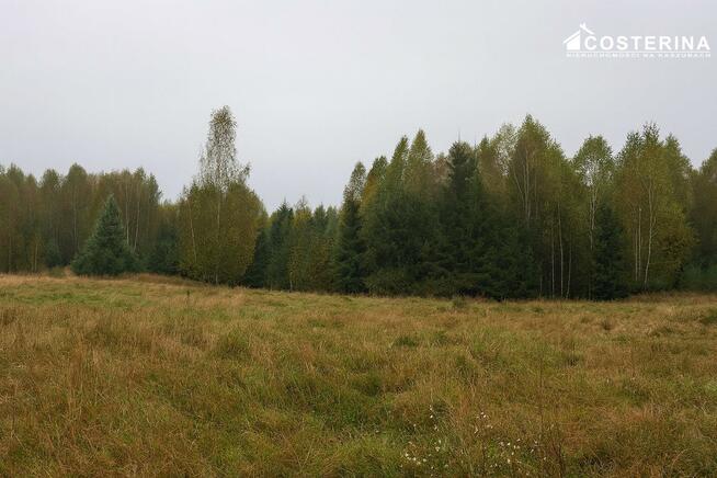 Działka rolno-budowlana Zadry gm. Miastko