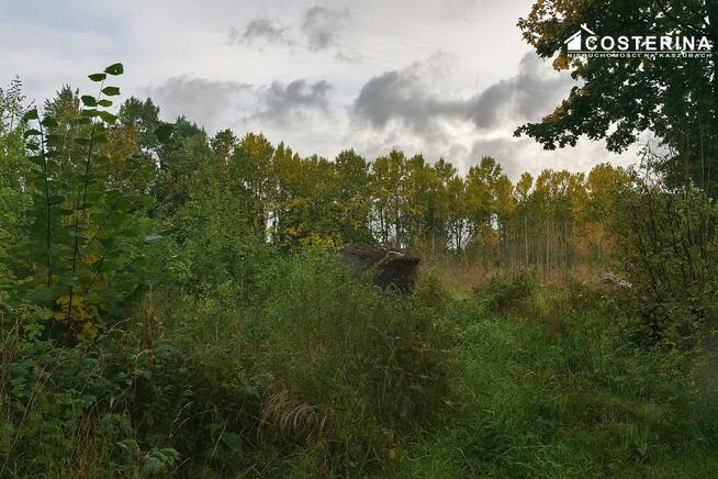 Działka rolno-budowlana Zadry gm. Miastko