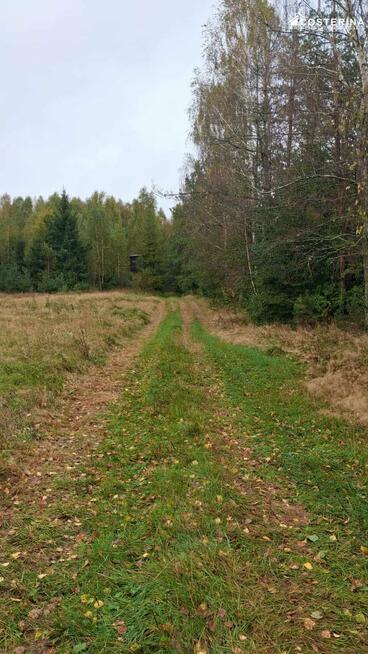 Działka rolno-budowlana Zadry gm. Miastko