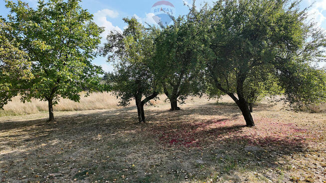 Działka inwestycyjna przy lotnisku Lublin