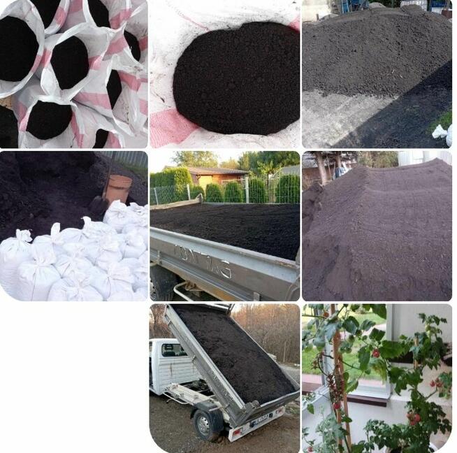 Kompleksowe i profesjonalne usługi ogrodnicze