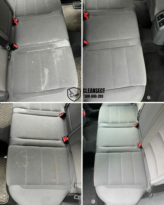 Zwalczanie kreta, pluskwy, ozonowanie, pranie tapicerki TANI