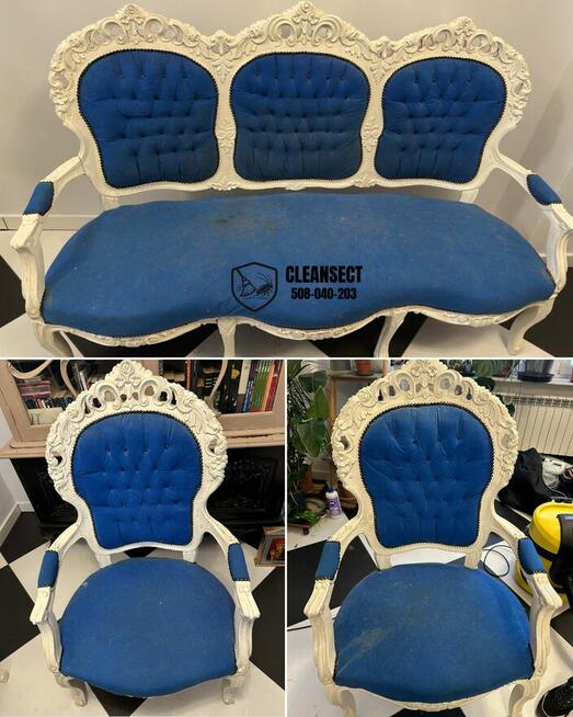 Zwalczanie kreta, pluskwy, ozonowanie, pranie tapicerki TANI