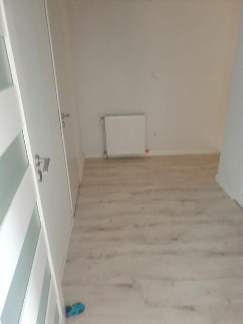 Syndyk sprzeda udziały w działkach (udział 1/2 i udział 1/4)