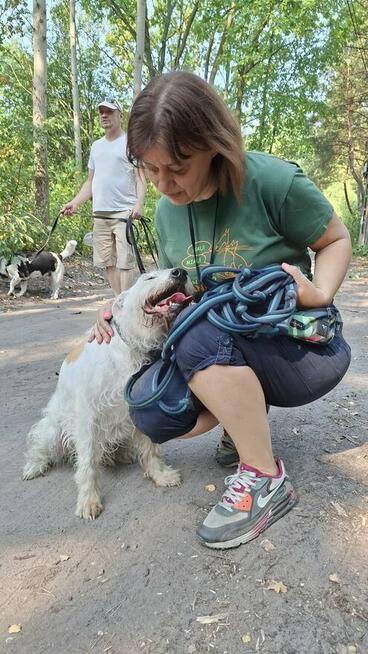 Nero - wyjątkowy pies szuka kochającego domu!