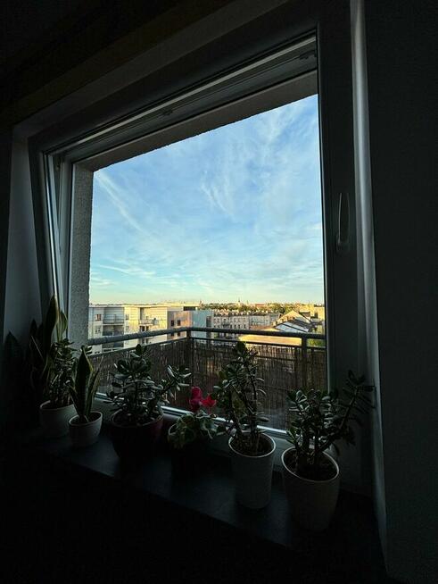 Sprzedam Mieszkanie gotowe do zamieszkania Centrum Kalisz