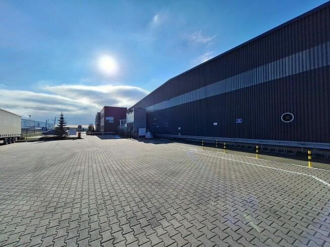 Nieruchomość - Łozienica