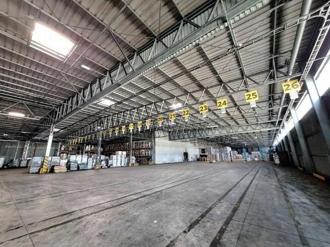 Nieruchomość - Łozienica