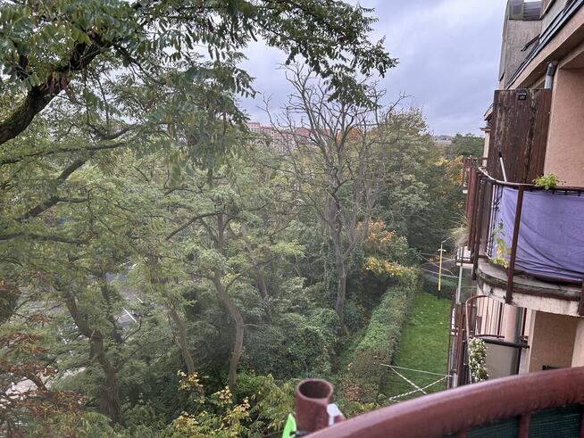 Do wynajęcia kawalerka w centrum Szczecina. Bez posrednik