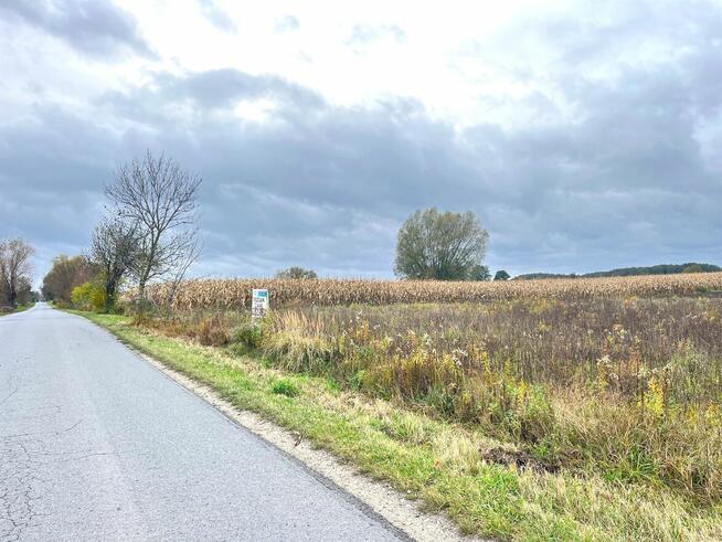 Działka Szembekowo, gm. Obrowo