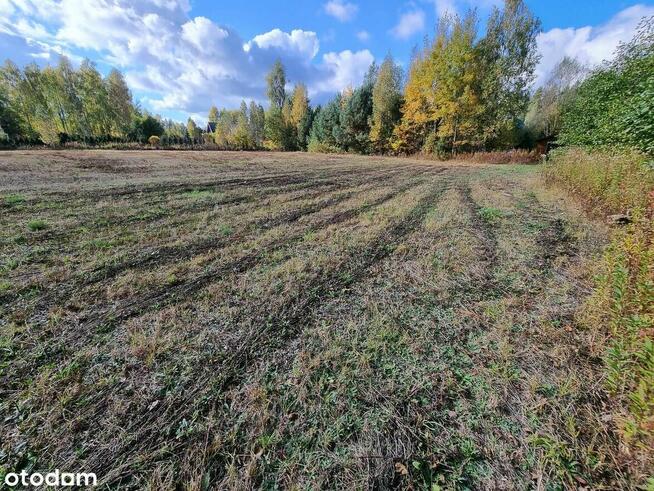 Działka budowlana przy lesie z WZ, woda, prąd