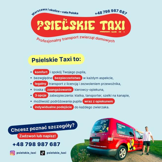 Transport zwierząt domowych - Taxi dla psa i kota