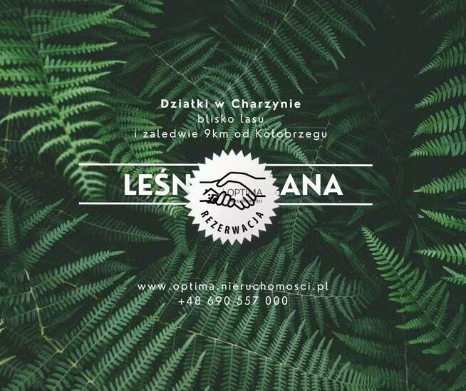 Działka Charzyno gm. Siemyśl