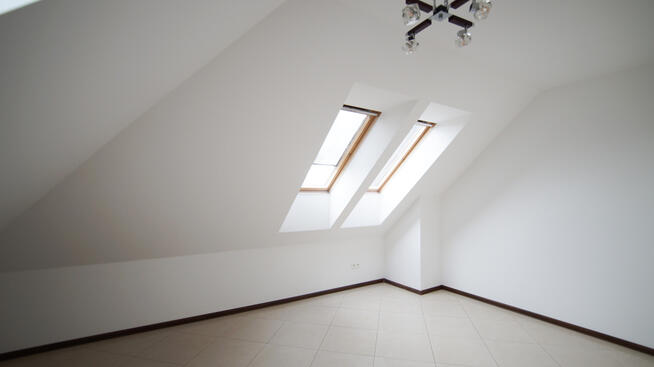 Do sprzedania dom z dużym stawem, Opole-Czarnowąsy