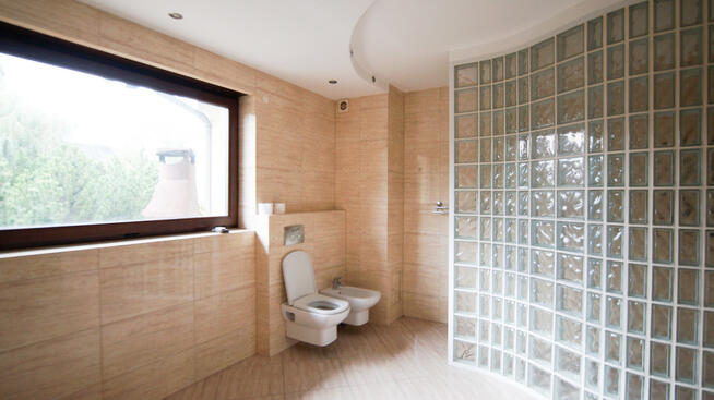 Do sprzedania dom z dużym stawem, Opole-Czarnowąsy