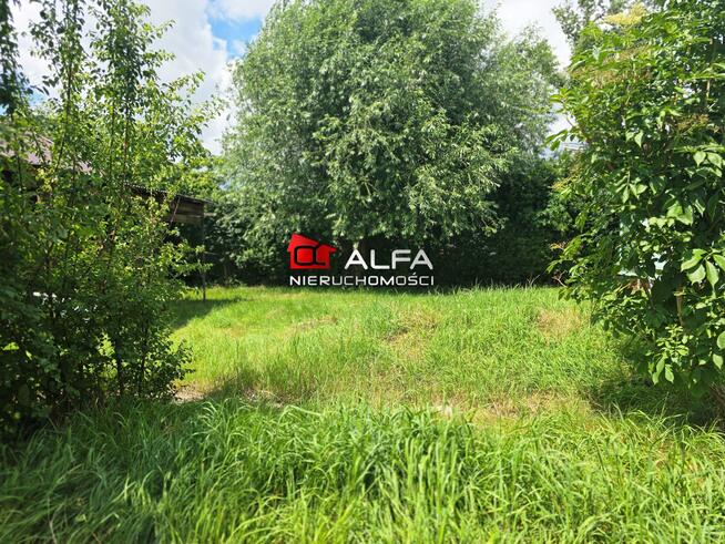 Lokal użytkowy Świdnica