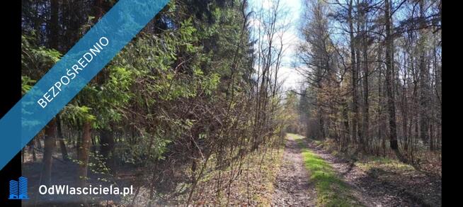 PROMOCJA! Dwie działki w cenie jednej! Słynny zalew SIELPIA!