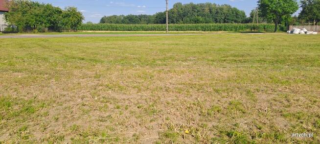 Działka budowlana Przywózki gm. Sokołów Podlaski