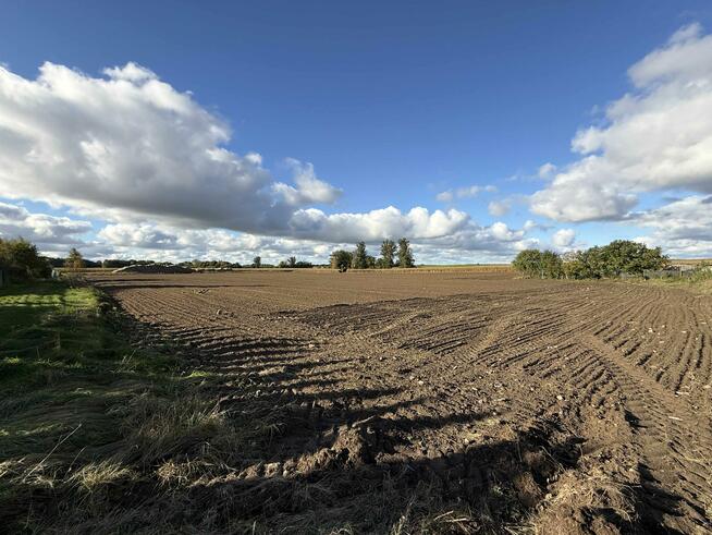 Działka Charzyno gm. Siemyśl