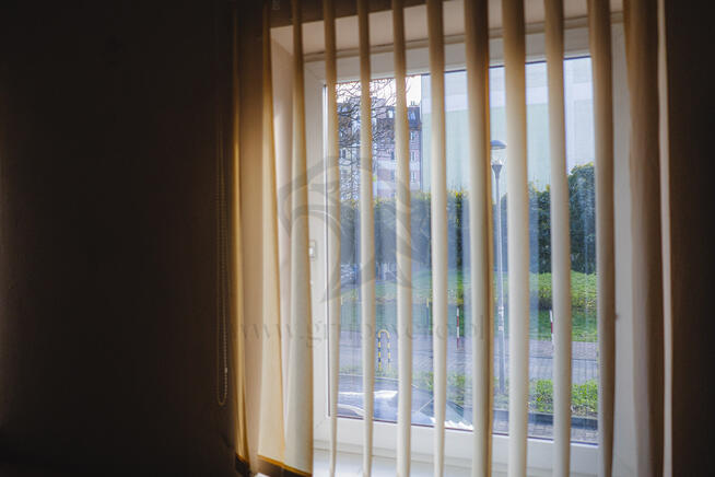 Własne SPA czy szczepienie Psa? 114m2 biznesu!