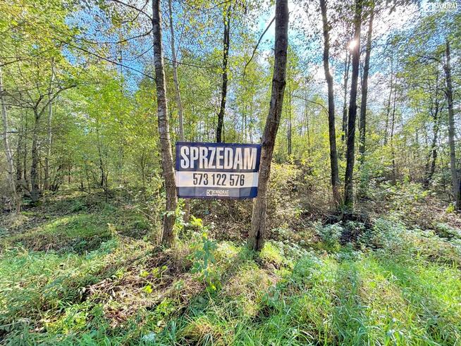 Działka rolna Stary Orzechów gm. Sosnowica