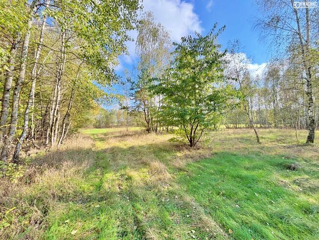 Działka rolna Stary Orzechów gm. Sosnowica