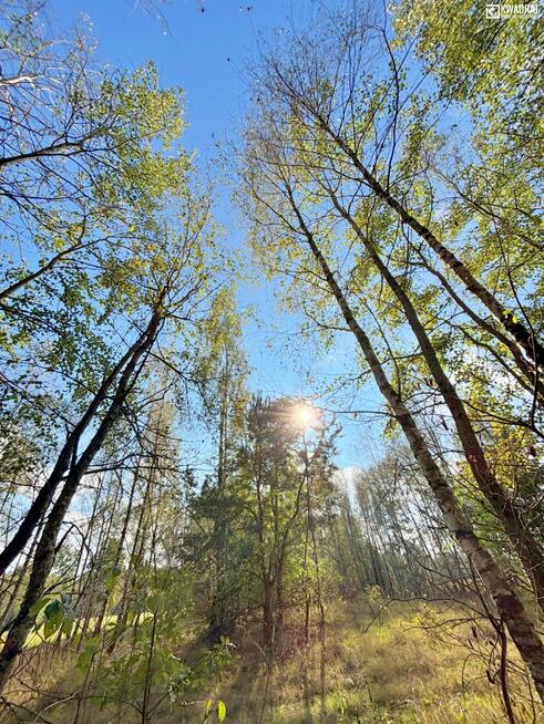 Działka rolna Stary Orzechów gm. Sosnowica