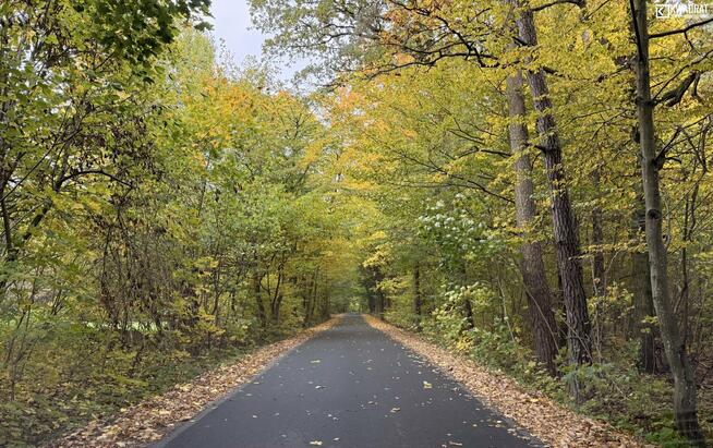 Dom ROGÓŹNO gm. Ludwin