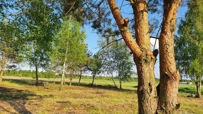 Działka budowlana Kąck gm. Wiązowna