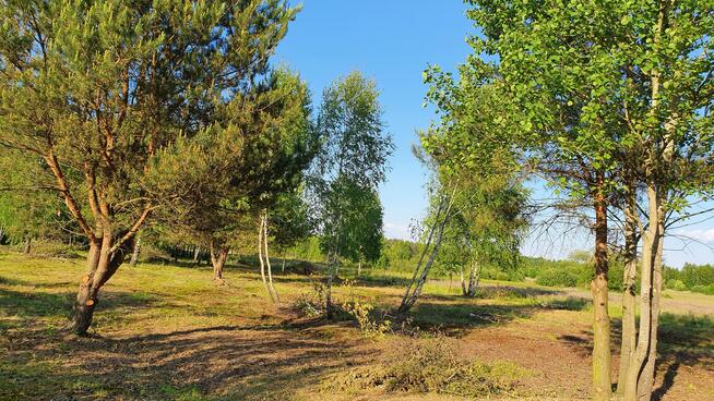 Działka budowlana Kąck gm. Wiązowna