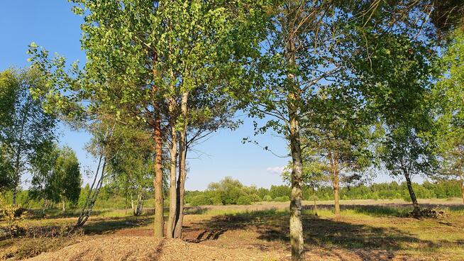 Działka budowlana Kąck gm. Wiązowna