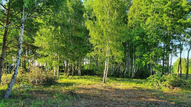 Działka budowlana Kąck gm. Wiązowna