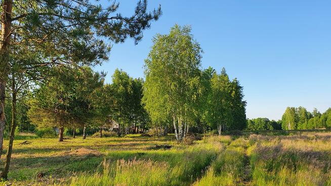 Działka budowlana Kąck gm. Wiązowna
