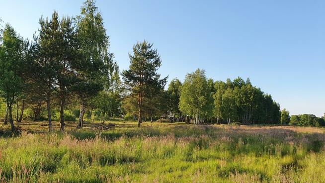 Działka budowlana Kąck gm. Wiązowna